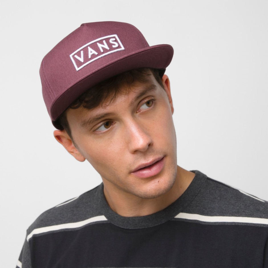 Vans Easy Box Snapback Hat Catawba Grape