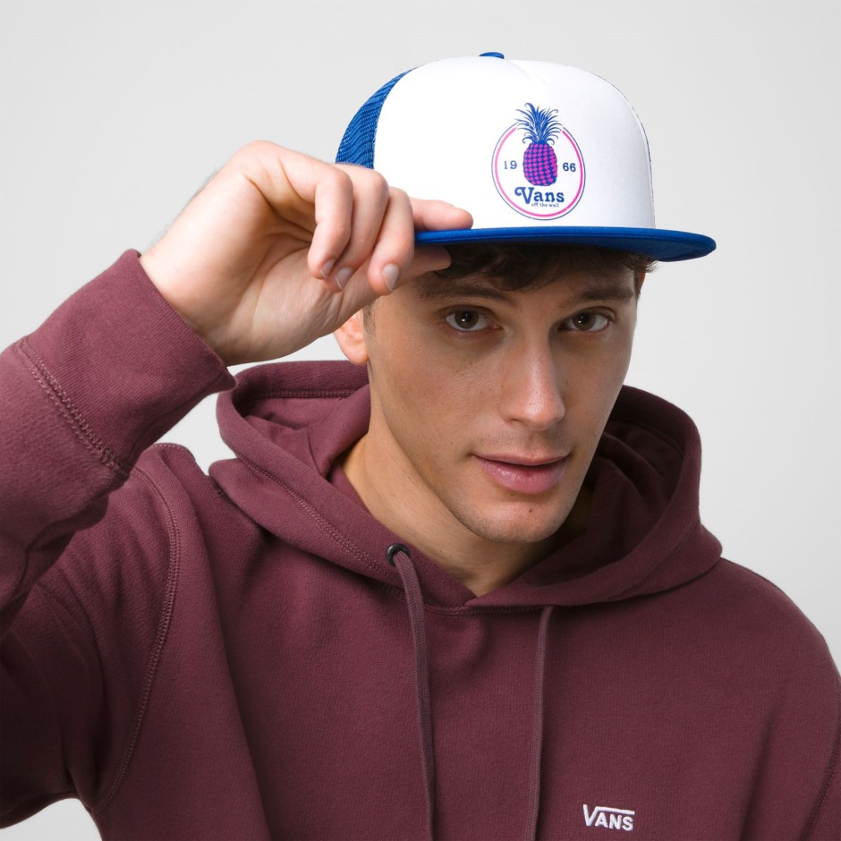Vans Idol Hat Truck לימוזינות